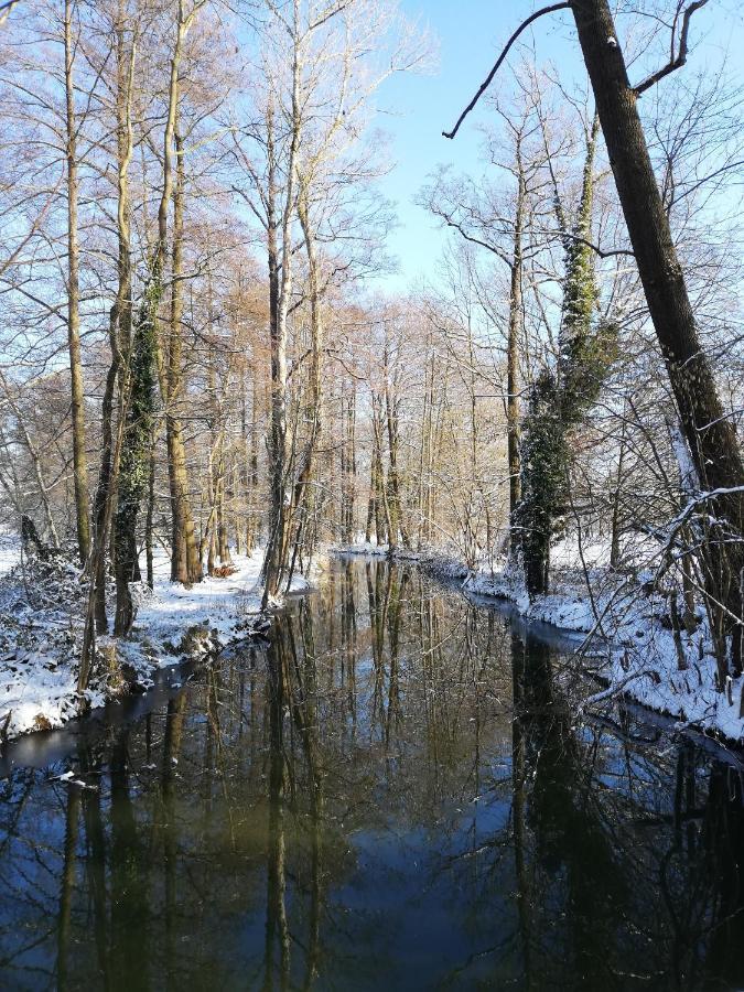 Gruener Wald Apartman Burg Kauper Kültér fotó